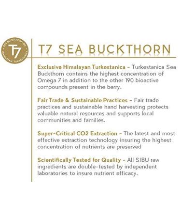Sibu Beauty Sea Berry Therapy Nourishing Face Cream | 1 fl oz - Hydrate & Revitalize Skin - Buy Online on GoSupps.com