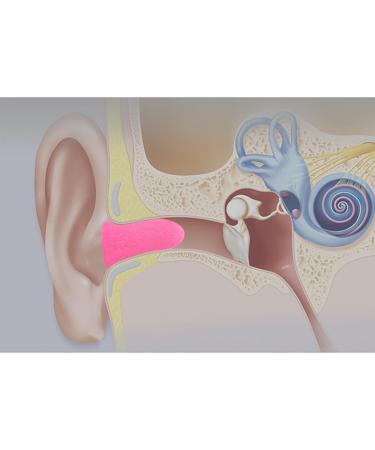 Noise Reduction Foam Ear Plugs for Sleeping | Comfortable Earplugs with Case - Ideal for Learning & Soundproofing - Buy Online on GoSupps.com