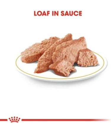 Royal Canin Dachshund Adult Mousse | 12 x 85 g | Complete Food for Dogs | for Adult Dachshunds | May Help Protect Bones and Joints - Buy Online on GoSupps.com