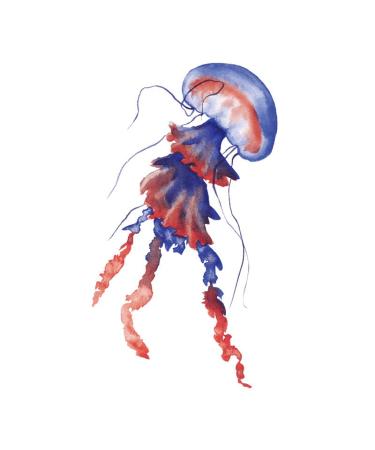 SanerLian Jellyfish Octopus Temporary Tattoo Sticker Set of 24 (SF195) - Waterproof Ocean Watercolor Body Art 10.5X6cm - Buy Online on GoSupps.com