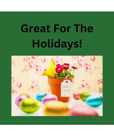 Brighten Your Floral Arrangements with Greenbrier 4 Piece Gentle Grip Floral Foam Blocks - Buy Online on GoSupps.com