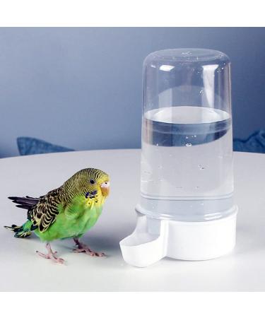 Budgie water feeder hot sale