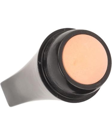 Volcanic Stone Face Roller Oil Absorbing Face Roller Oil Absorbing Roller Volcanic Stone Ball Oil Absorb Reusable Volcanic Stone Face Roller for Make Up House - Buy Online on GoSupps.com