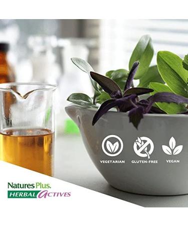 Nature's Plus Milk Thistle 500 mg - Herbal Actives Extended Release 30 Tablets - Buy Online on GoSupps.com