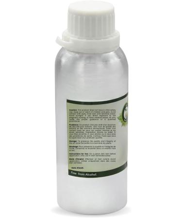 R V Essential Pure Wintergreen Essential Oil 300ml (10oz)- Gaultheria Procumbens (100% Pure and Natural Therapeutic Grade) - Buy Online on GoSupps.com