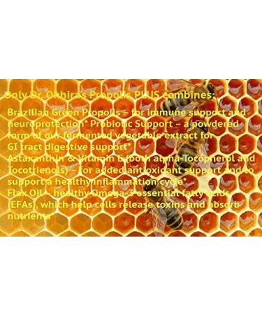 Dr. Ohhira's Propolis Plus - 30 Capsules for Immune Support & Wellness - Buy Online on GoSupps.com