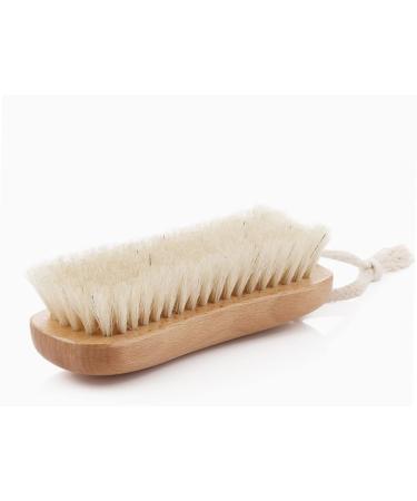Solustre 4-Piece Shoe Brush Cleaner Set - Household Boot & Coat Cleaning Brushes with Handle | Durable Bristle Polishing Brush - Buy Online on GoSupps.com