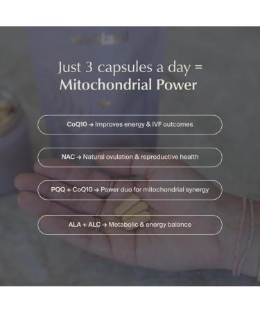 WeNatal Egg Quality+ Supplement. CoQ10 NAC PQQ L-Carnitine Alpha Lipoic Acid Methylated Folate B12 Zinc Vitamin C Supports Egg Health Fertility and Mitochondria 90 Capsules - Buy Online on GoSupps.com