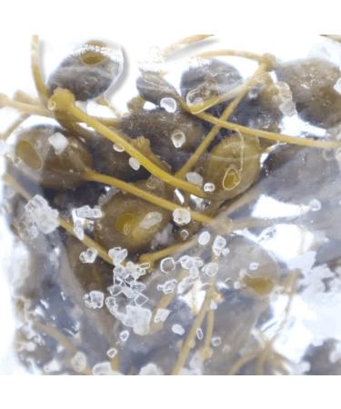 SICILY BEDDA CAPACI Cucunci Capper fruit in Sale 250g - Buy Online on GoSupps.com