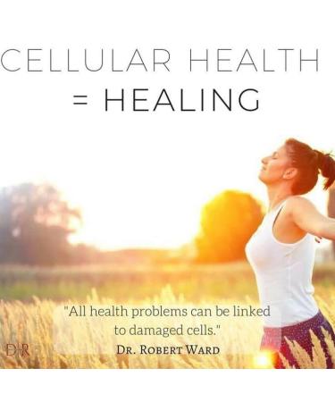 Flamasil - (3 Pack)- for Healthy Inflammation Response* | Bio-Enhanced Turmeric Boswellia Resveratrol and More | Multi-Herbal Pain Reliever* and Joint Aid | 13-in-1 Superfood Antioxidants - Buy Online on GoSupps.com