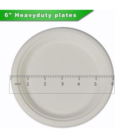 CantaGreen 6 Compostable Dessert Plates - 100 Count | Biodegradable Sugarcane/Bamboo Fibre Disposable Plates - Buy Online on GoSupps.com