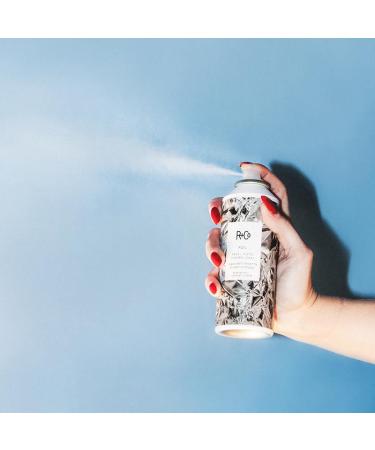 R+Co Foil Frizz Static Control Spray (5 Oz) + Hot Spell Thermotech Blow Out Balm (4.2 Oz) | Eliminates Frizz + 450* Heat Protection | Vegan + Cruelty-Free | - Buy Online on GoSupps.com