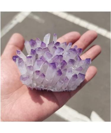 Natural Crystal Rough Crystal Natural Purple Ghost Phantom Quartz Crystal Cluster Rock Stones and Crystals Reiki Specimen Home Deco Crystal (Size : 300-350g) - Buy Online on GoSupps.com