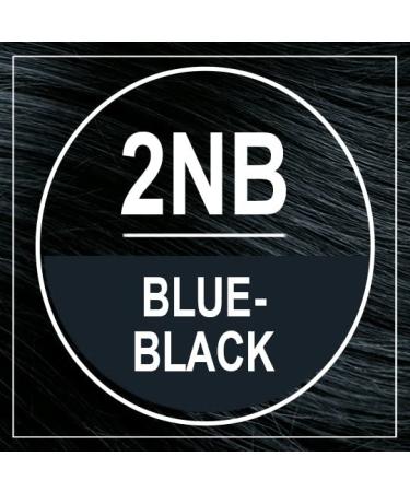 Naturtint 2NB Blue Black Permanent Hair Color - Ammonia Free, Vegan, Cruelty Free, Up to 100% Gray Coverage, Long Lasting Results - Buy Online on GoSupps.com
