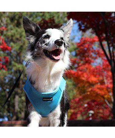 Puppia Dog Harness for Small & Medium Dogs - Soft Vest in Sky Blue & More Colors - Versatile Puppy Dish & Anti-Tanning Crockery - Buy Online on GoSupps.com