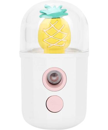 Mini Nano Facial Moisturizing Sprayer USB Charging Handheld Skin Hydrating Mist Sprayer for Face Care Pure Daily Use - Buy Online on GoSupps.com