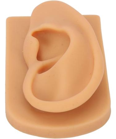 Flexible Silicone Right Ear Model for Hearing Aid Demonstration - Waterproof & Ideal for Science Education - Buy Online on GoSupps.com