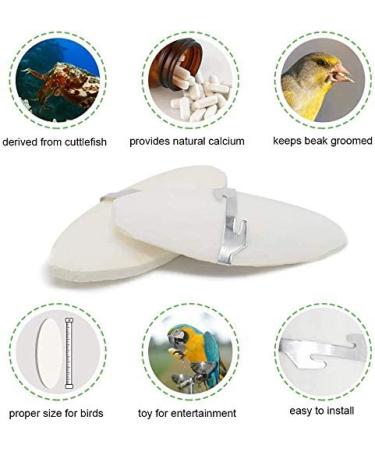 Jmxu's 5 -5.5 Bird Cuttlebone with Metal Holder | 6 Pack Natural Calcium for Parakeets, Parrots, Cockatiels, Budgies | Chewing Cuttlefish Bone for Sharp Beaks - Buy Online on GoSupps.com