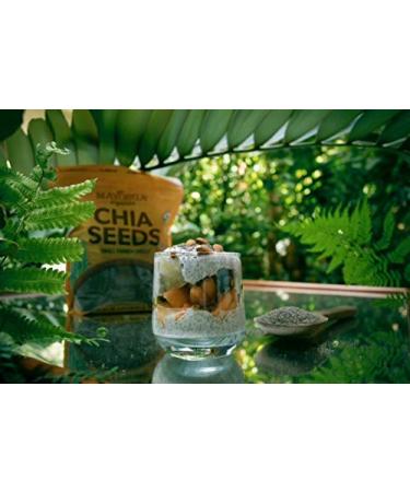 Mayorga Organics Raw Chia Seeds 3lb - USDA Organic, Gluten-Free, Non-GMO, Direct Trade, Kosher - Nutrient Dense Superfood - Buy Online on GoSupps.com
