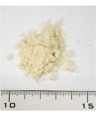Roudybush Formula 3 Hand Feeding Bird Diet 1 lb - Buy Online on GoSupps.com