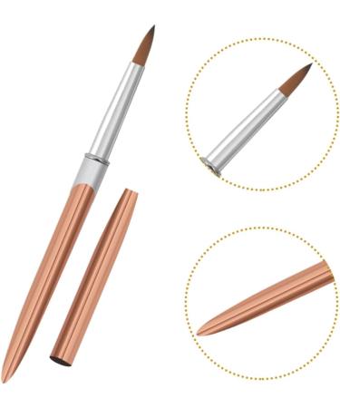 Ipetboom Metal Rod Nail Art Pen Thin Nail Art Brush Nail Pens Nail Art Drawing Pens Manicure Tools Portable Nail Art Brush Nail Brushes for Nail Art Striping Liner Aluminum Single 17.40X1.00X1.00CM As Shown - Buy Online on GoSupps.com