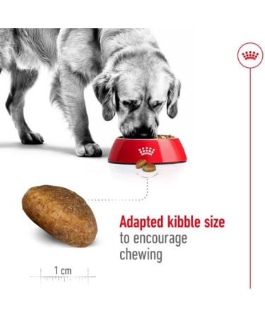 Royal Canin Maxi Dry Adult Dog Food 3kg - Buy Online on GoSupps.com