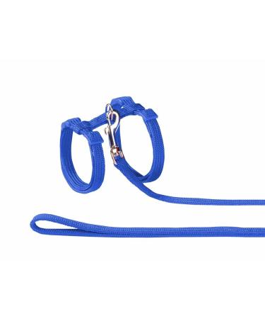 Nobby Cat Set Nylon Blue