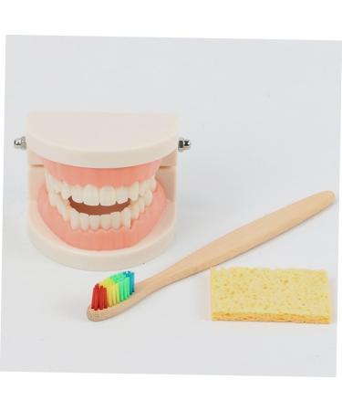 Shop Tovinanna 2-Sentence Toy for Early Dental Education | Fun Toothbrushing Model for Toddlers & Kids - Reusable Educational Puzzle Toy - Buy Online on GoSupps.com