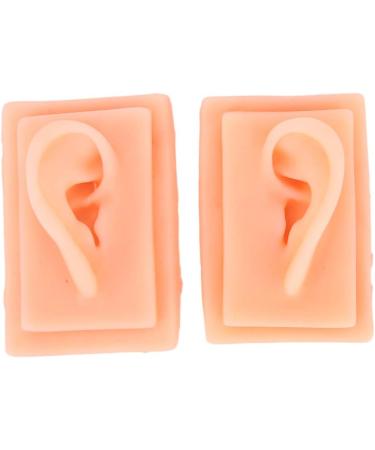Acupuncture Ear Model for Practice | 2-Piece Set | Smooth Texture | Ideal for Students - Buy Online on GoSupps.com