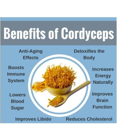 Korea Cordyceps Militaris. Herbal Cordyceps Dried Flower 70gr. Perfect for Infusion as a Tea and use in Vegetable Salads - Buy Online on GoSupps.com