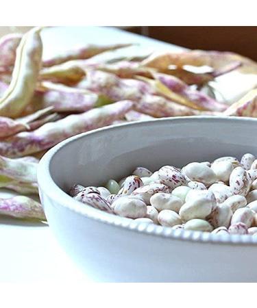 Organic Cranberry Beans  3 Pounds  Non-GMO  Dried Borlotti Beans (Romano Beans)  Sproutable  Vegan  Kosher  Bulk. High in Folate  Fiber  Protein. Product of the USA. Perfect for Stews  Soup  Salads. 3 Pound (Pack of 1) - Buy Online on GoSupps.com