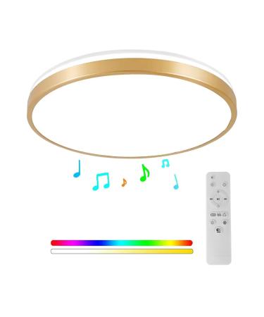 Horevo 30cm Bluetooth ceiling lamp with remote control 24W champagne golden ceiling lamp dimmable and color-changing light with speaker light Suitable for children's room bedchamber gold frame with remote control