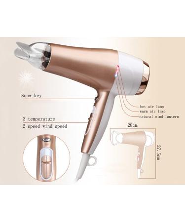 Professional Hair Dryer 2200W AC Motor Negative Ionic Technology Blow Dryer with 3 Heat & 2 Speed Setting and Cool Shot Button Concentrator Nozzle Included for Men and Women Small Gift - Buy Online on GoSupps.com
