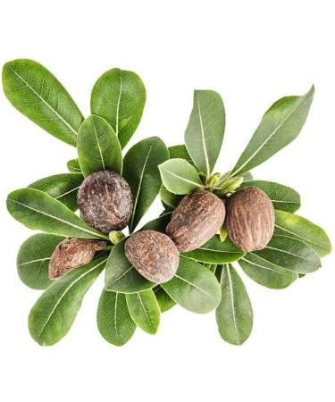 Pure shea butter - Buy Online on GoSupps.com