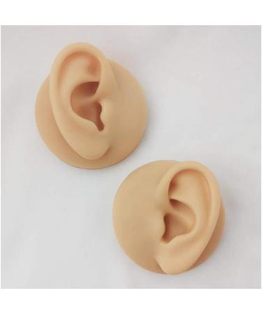 Silicone Ear Model - Simulation Human Ear Model - for Human Body Piercing Acupuncture and Moxibustion Ear Practice Teaching Earrings Earrings Show Apair