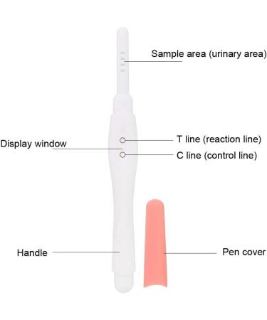 High Accuracy Pregnancy Test Sticks - 5pcs Early HCG Urine Test Kit for Women | Home Use - Buy Online on GoSupps.com