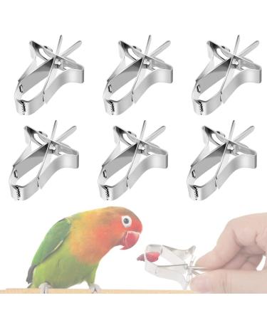 6 Pcs Bird Food Holder - Pet Parrot Feeding Clips for Fruits and Vegetables Cuttlefish Device with Pin Clamp - Perfect for Birds Hamsters Cockatiels Parrots and Small Animals - Buy Online on GoSupps.com