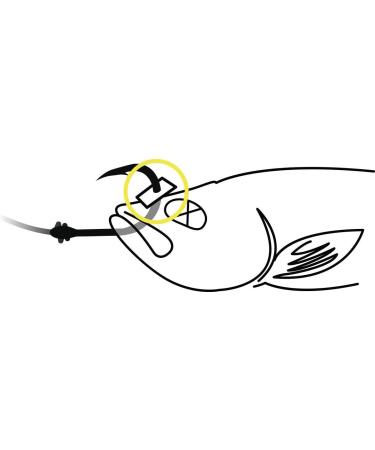 Black Cat Premium Stop Catfish Fishing Accessories | Baitfish Fishing Black 1.5m Shop Internationally - Buy Online on GoSupps.com