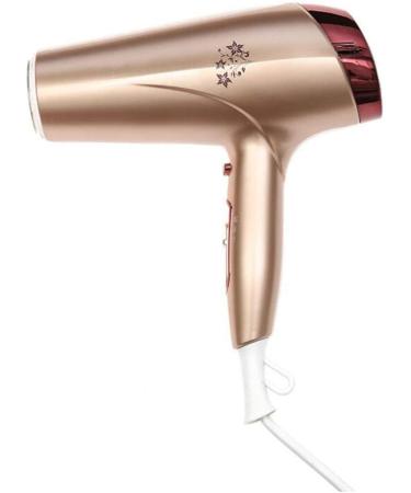 2200W Hair Dryer with Diffuser Powerful Hairdryer Fast Drying Blow Hair-Dryer Negative Ionic Blow Dryer AC Motor 2 Speed and 3 Heat Cold Shot Button Long Cable Light Quiet for Women Men Small Gift - Buy Online on GoSupps.com