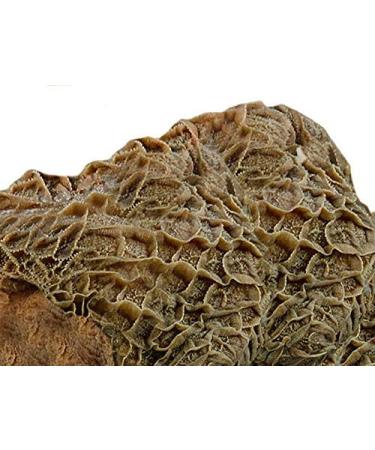 FRESCO Dog Barf dry I Daily menu Beef with beetroot apple and carrots I 1 kg - Buy Online on GoSupps.com