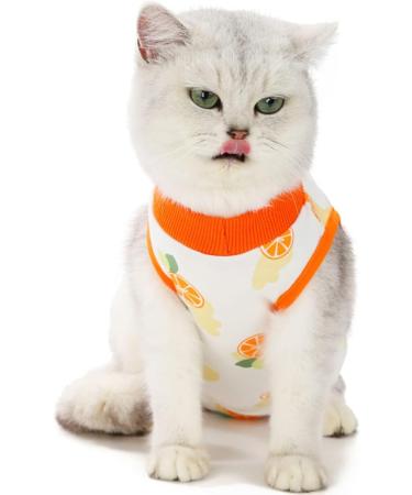 Agoumlux Katzenbody for Cat Surgery Recovery - Leak-Proof Cotton Wear in Orange Size L | After Neutering or Castration - Buy Online on GoSupps.com