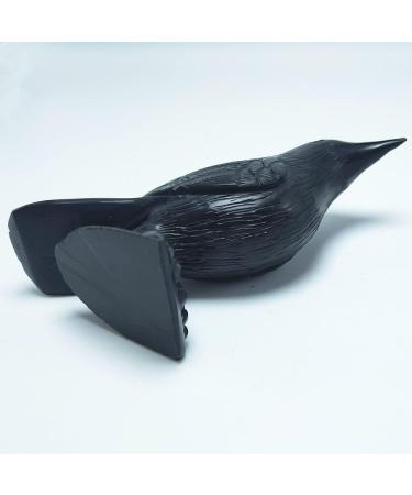 Natural Crystal Rough 1PC Crystals Animal Natural Obsidian Crystal Bird Corvus Black Obsidian Quartz Crow Gift Stones - Buy Online on GoSupps.com