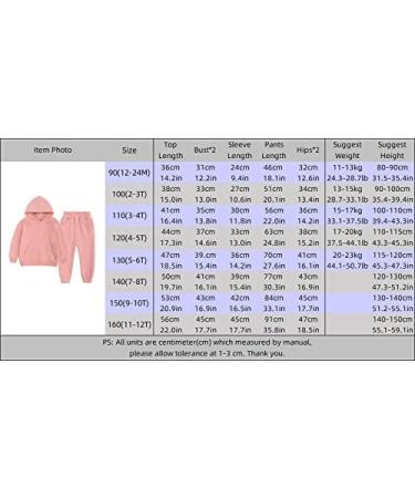 MYGBCPJS Youth 2PCS Jogger Outfits Set | Fleece Hooded Sweatshirt + Sweatpants | Boys Girls Athletic Sweatsuits | 2-3T Fleece Hooded Set 07 - Buy Online on GoSupps.com