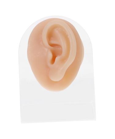 Piercing Tools Simulation Left Ear Mold Mold Earring Display Model Model Prosthesis Body Silica Gel Silicone Ear