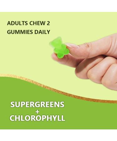 Chlorophyll Gummies Essential Vitamins and Minerals - Plant-Based Vegan Gluten Free & Gelatin Free Natural Antioxidant Energy Boost Immune Support 60 Vegan Organic Gummies (60 Count Pack of 1) 60 Count (Pack of 1) - Buy Online on GoSupps.com