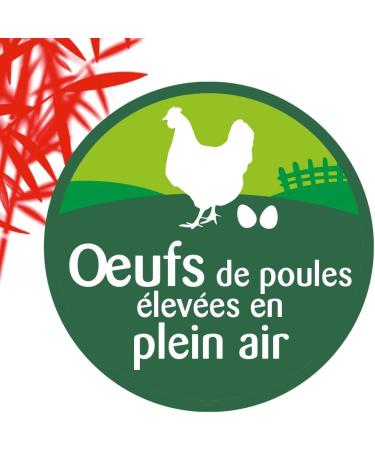 SUZI WAN Egg Noodles 250g - Buy Online on GoSupps.com