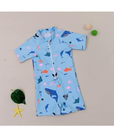 PythJooh Baby Boy Shark Print Rash Guard Swimsuit | Zipper One Piece Beach Swimwear | 12-18 Months - Buy Online on GoSupps.com