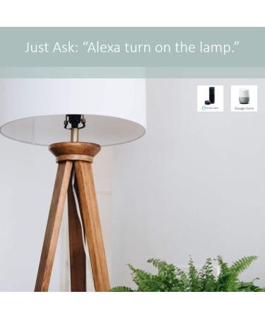 Legrand - Pass & Seymour Radiant WWP10CCV2 Enabled Plug  White Smart Wi-Fi Switch Smart Plug White - Buy Online on GoSupps.com