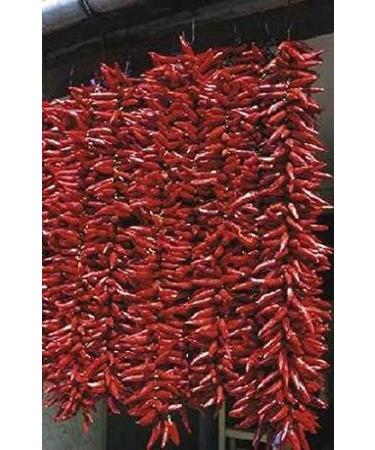 Original Hungarian Paprika from Szeged - Medium Hot Delicate 100g | Authentic Spice for Global Shipping - Buy Online on GoSupps.com