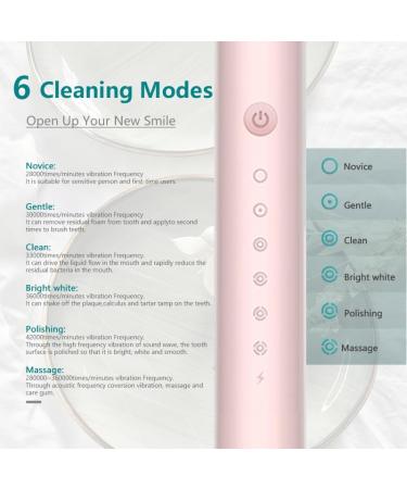 CNVOILA Electric Toothbrush Replacement Heads for Pulsonic Slim Series - Optimal Oral Care - Buy Online on GoSupps.com